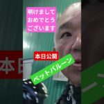 ペットバルーンへ行って来た！ディスカス、ブラックアロワナ！ #アロワナ #アクアショップ巡り