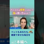 アニコミは感覚じゃない！脳の使い方なんだ！ #ペット #アニマルコミュニケーション