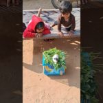 #viral #funnyanimal #viralvideo #funny #pet #petlover #guineapig #guinea #guineapigs