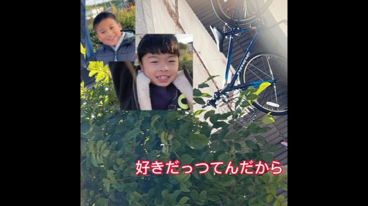 犬www #フィッシャーズ