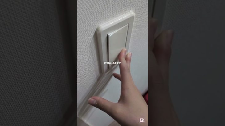 平日1日Vlog #コスメ #雰囲気ゲー #メイク #人気になりたい #雰囲気 #Vlog#みぃひな#みぃひな夫婦