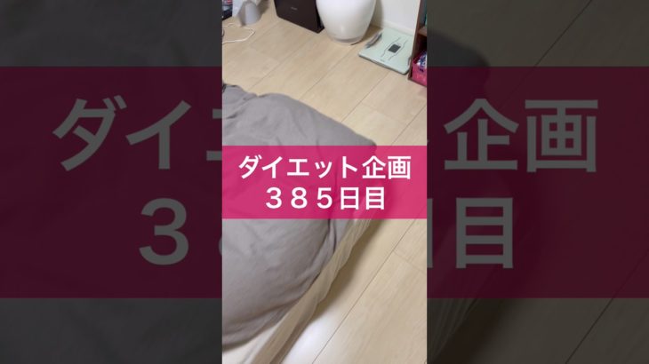 【ダイエット企画】３８５日目（毎日22時投稿）#ダイエット