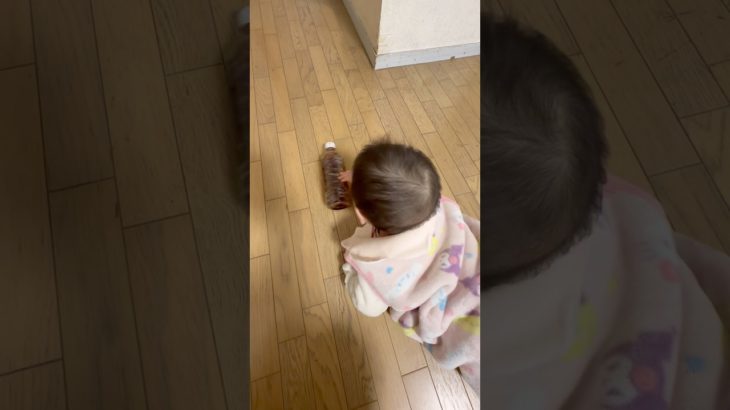 ペットボトルから離れない【生後242日】#生後7ヶ月 #赤ちゃん #赤ちゃんのいる生活 #baby