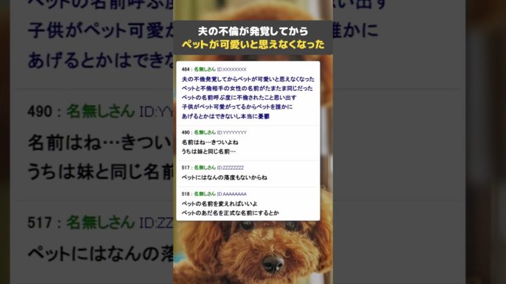 【不倫】夫の不倫が発覚してからペットが可愛いと思えなくなった【2ch面白いスレ】#shorts