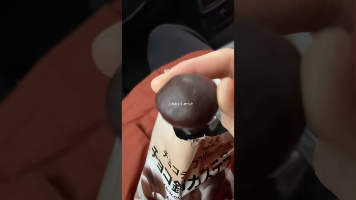 3️⃣1️⃣3️⃣vlog#素材収納 #sanrio #生活音 #ぽんかん #コスメ #メイク #vlog#スノボ