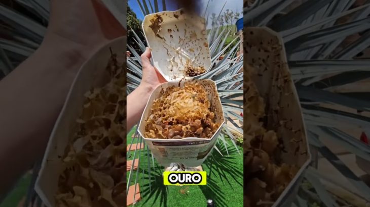 Achei uma MINA de OURO dentro da GARRAFA PET 😱 #shorts