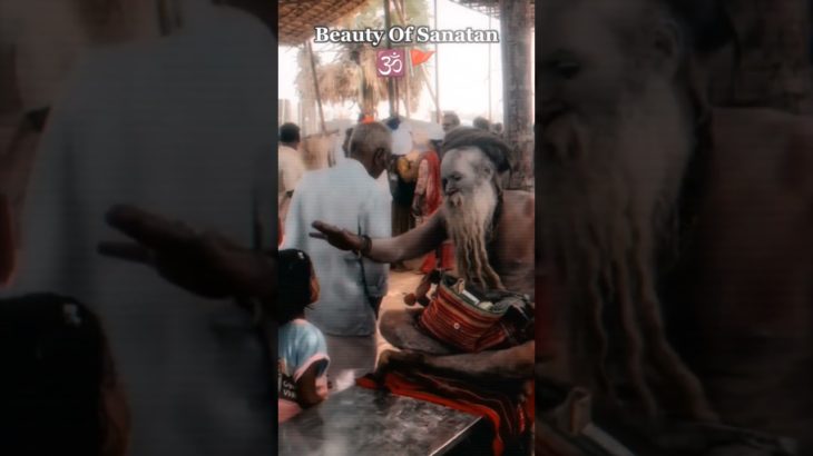 Beauty of Sanatan ❤️🔥 #shorts #sanatandharma