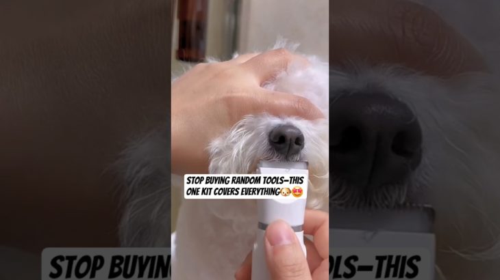 Best Pet Grooming Kit for New Pet Owners Easy At-Home Grooming #petgrooming #dog #petgroomingtools