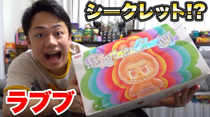 ラブブの人気ボックス「Big into.Enegy 」開封してシークレット当ててやるわ！！