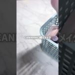 CANMAKE縛りメイクჱ̒ˆT ˙̫ Tˆ   #美容 #asmr #makeup #grwm #メイク動画 #生活音 #CANMAKE #プチプラコスメ #shorts