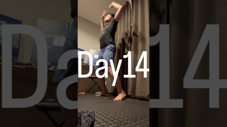 Day14 workout #workout #dailyworkout #ダイエット記録　#痩せたい