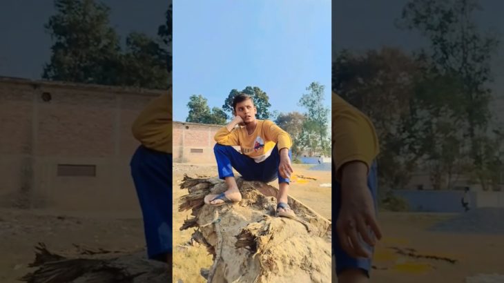 Desi pet 🐶 | indian family 🤪#shorts#relatable #comedy #desi #pet