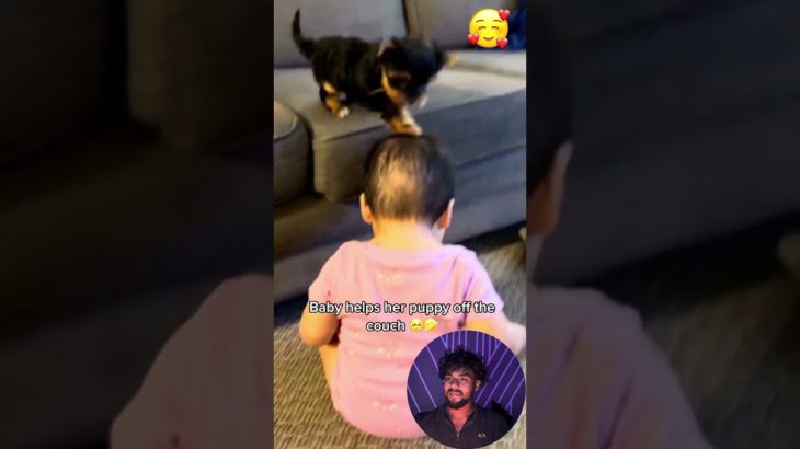 Funny stories about children and dogs ❤️🥰 | #118 | #pet #dog #anmals #love