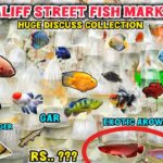 Galiff Street Pet Market ।‌2026 💥All Fish Price Update Recent Video 📸। Exotic Arowana, Discuss Fish🐠
