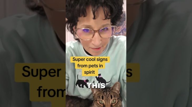 Has Your Pet In Spirit Done This? #shorts