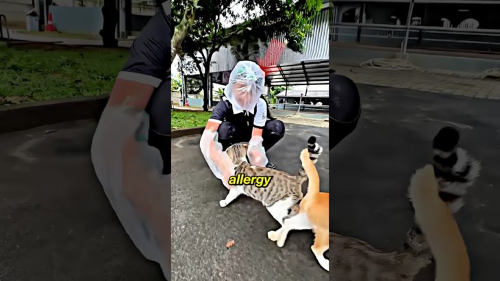 He Wore a Plastic Suit Just to Pet a Cat #shorts