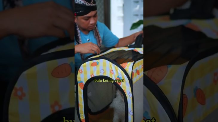 Kotak Pengering anabul simpel dan efektif guys