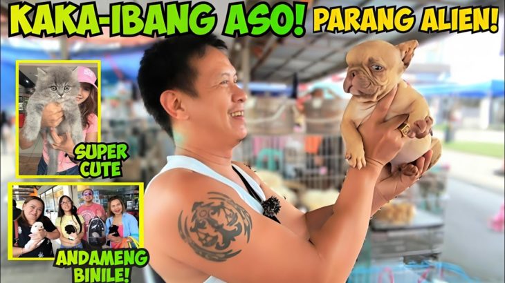 MALA ALIEN KOKEY DAW SABI NG MGA DUMADAAN! GROTTO PET MARKET UPDATE! FEB 15, 2026