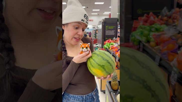 MY PET PANDA WON’T EAT HEALTHY FOOD #msbeanie