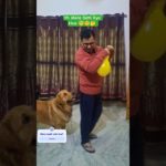 Mere Saath Yh Kya Hua 😐 😇🤔#cute #explorereels #pet #funnycomedy