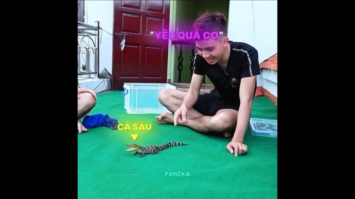 PHD – Pet Mới Và Pet Cũ