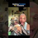Ranking Funniest Pet Moments 🤣