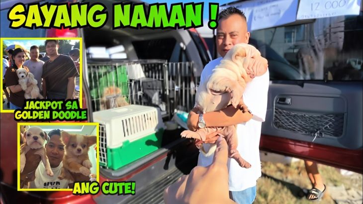 SIGURADO MADAMI PANG SUSUNOD! BOCAUE PET MARKET PART 1! 02/13/26