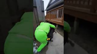 Something Was Off About My Neighbor’s New “Exotic Pet”…😭💔