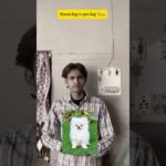 Street dog vs pet dog 😂 #shorts #perdogs #deepuuniquevlogs