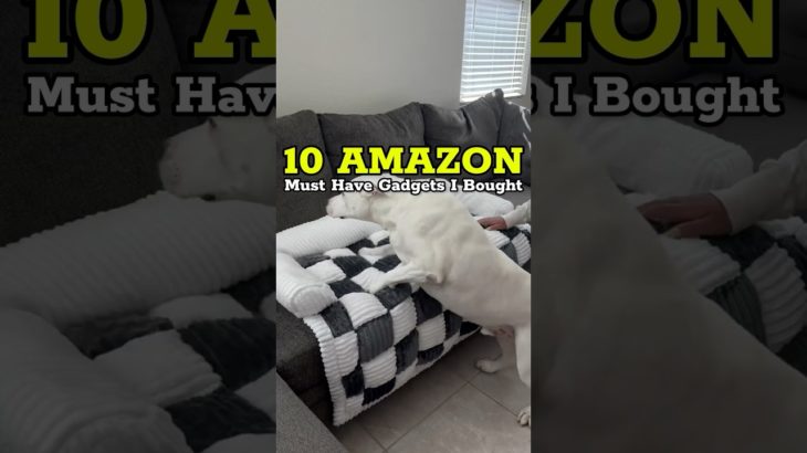 Viral Hits: Amazon Home & Pet Finds You Might WANT! #viral #amazon #home #pets #petlover #shorts #fy