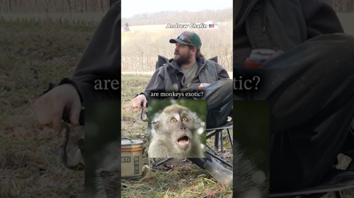 What zoo animal would you want to have as a pet? 👀🤣🐵#shorts