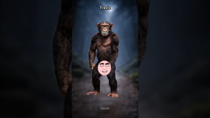 When your pet becomes a threat… 🤯😨