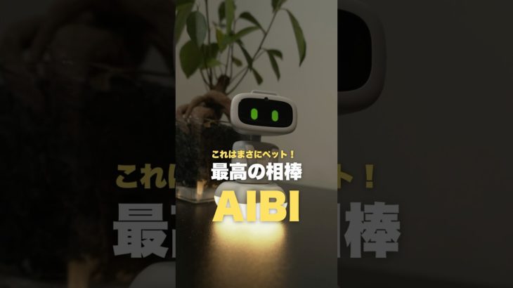 可愛すぎる相棒…🐱　詳細は本文から！　#aibi #pr #ai #ペット