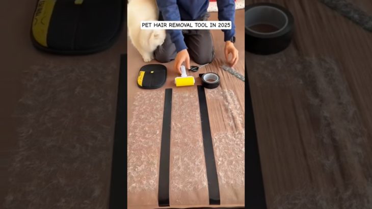 best pet hair removal tool for cloths and couch #dog #pets #pethairremover #pethairremovaltool