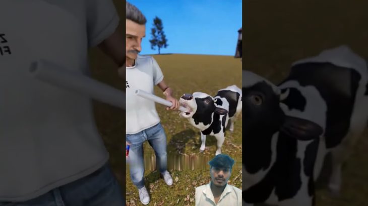 gay ke pet ke ander mehnat q dala jata hai #facts #viralshort #avengers #gta #animals #tweening