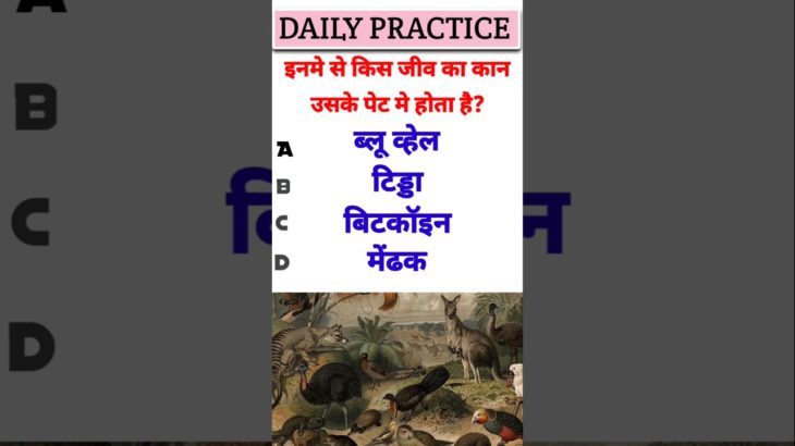 🤔🫣 kis jiv ka kan uske pet me hota hai? kis animal ka kan uske pet ke andar hota hai? #shorts #gk