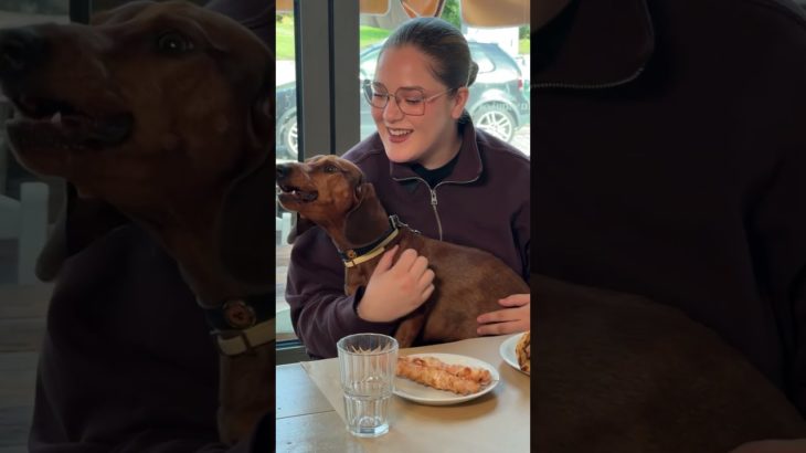 🐶 Στον «ΚΑΝΔΑΥΛΟ» είμαστε και pet friendly!