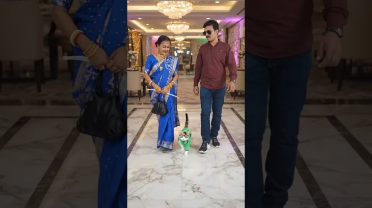 shoping with pet | viralshorts | shorts | shortsfeed| pets | funny| cat | youtubeshorts | ytshorts|