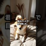 『最後の夜がやさしかった』#shorts #泣ける犬 #ペットロス