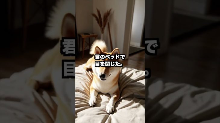 『最後の夜がやさしかった』#shorts #泣ける犬 #ペットロス