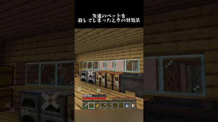 友達のペットを間違えて殺してしまったときの対処法 #shorts #マインクラフト #マイクラ