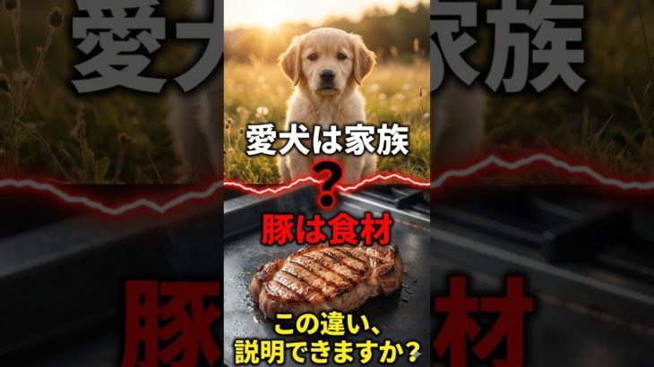 なぜペットは食べてはいけないのか？動物の権利と倫理を哲学する #動物倫理 #肉食のパラドックス #哲学 #shorts