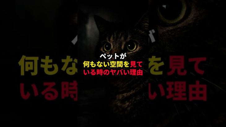 ペットが『何もない空間』を見ている時のヤバい理由 #都市伝説  #雑学  #ミステリー  #shorts