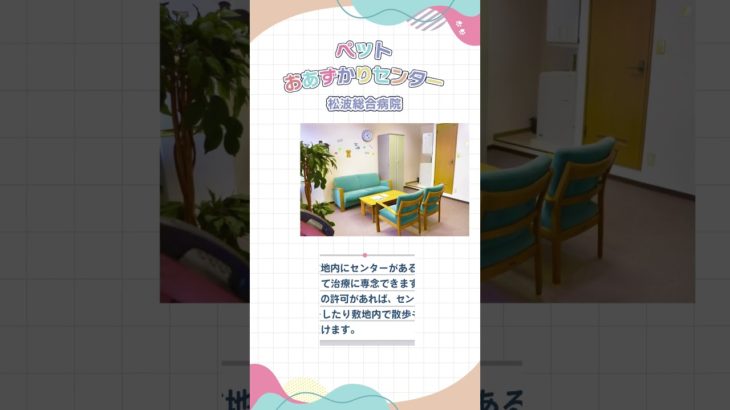 【松波総合病院】ペットおあずかりセンターについてご紹介します！#shorts