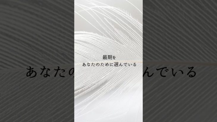 【お空のペット】あなたのために… #アニマルコミュニケーター  #アニマルコミュニケーション  #スピリチュアルヒーラー　#タロットカード  #ペットロス  #ペット  #shorts