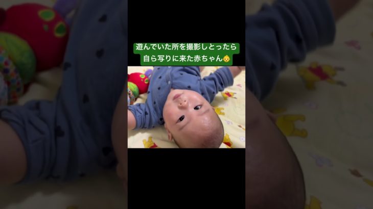 お気に入りのペットボトルで遊んでいる所を撮影したら写りに来た赤ちゃん👶 #赤ちゃん #赤ちゃんのいる生活 #shortsvideo