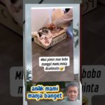 si mbul mujaer pinter dan manja banget🤩 #cat #kucingimut #funnycat #pet #anabul #kucingmujaer