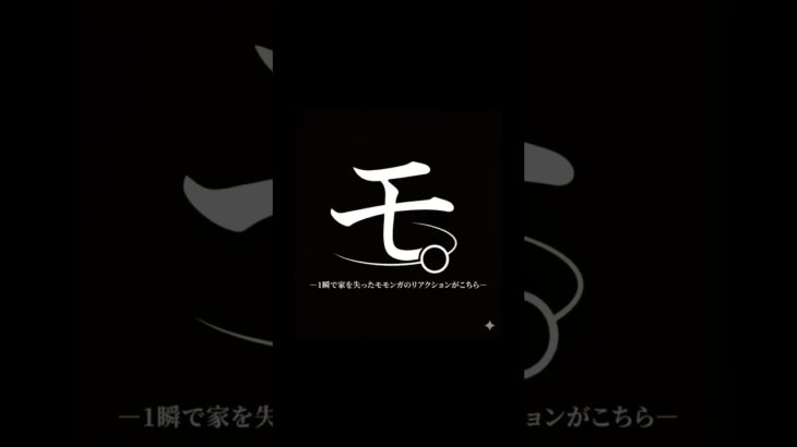 一瞬で家を失ったモモンガのリアクションがこちら。#モケケ・シュガグラ #ふくろももんが   #フクロモモンガ #sugarglider  #ペット #ペット動画  #可愛い  #かわいい  #cute