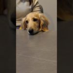 行かないとね〜