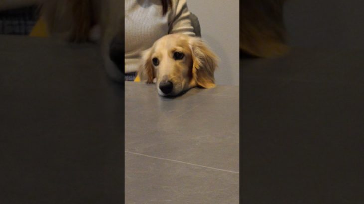 行かないとね〜